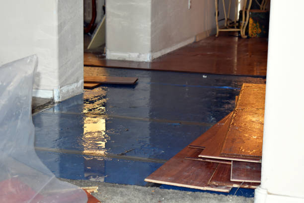 Professional Structural Drying And Dehumidification technician working in Lake Park, IA